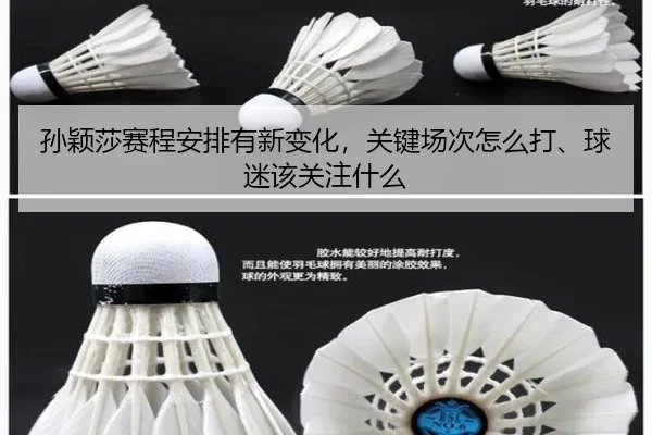 孙颖莎赛程安排有新变化，关键场次怎么打、球迷该关注什么（Tencent Sports）